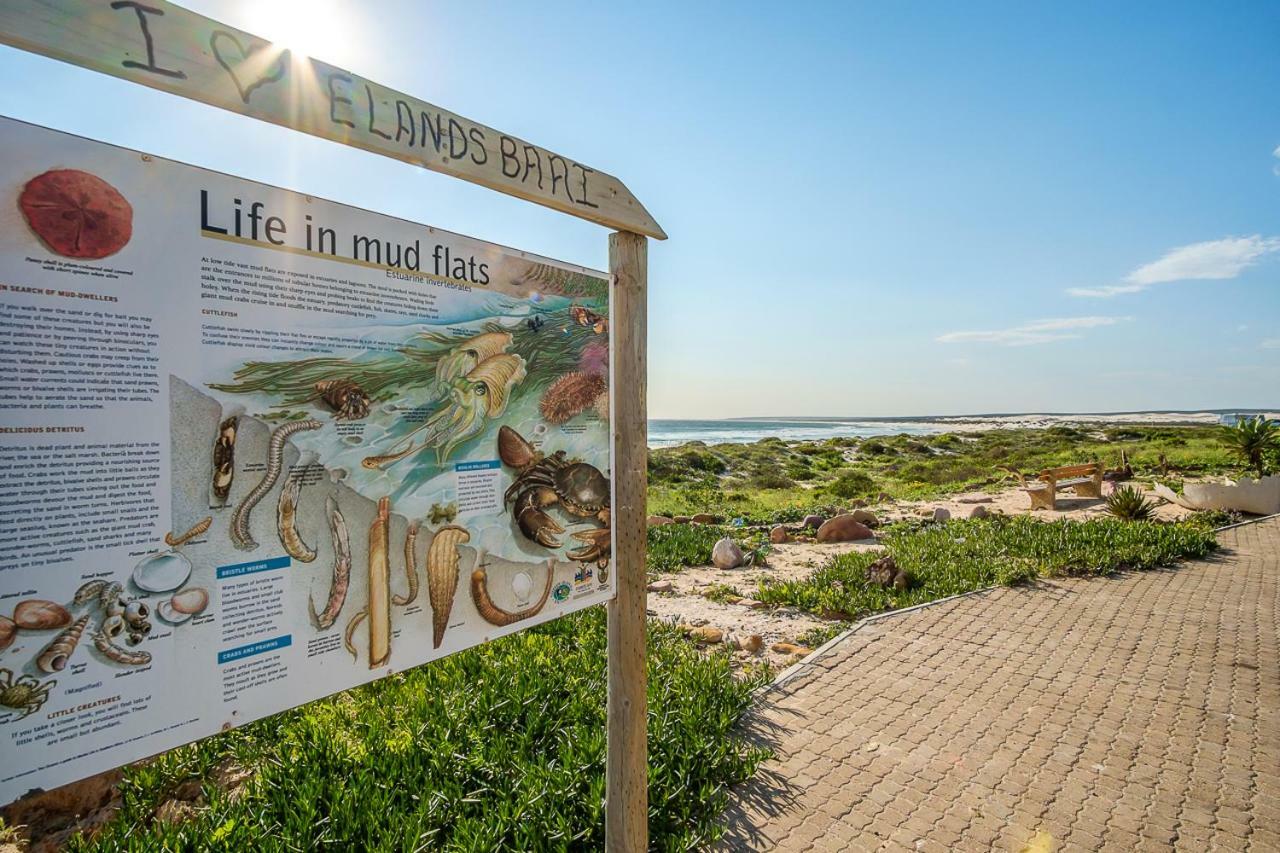 Fork West Holiday Apartments Elands Bay Zewnętrze zdjęcie